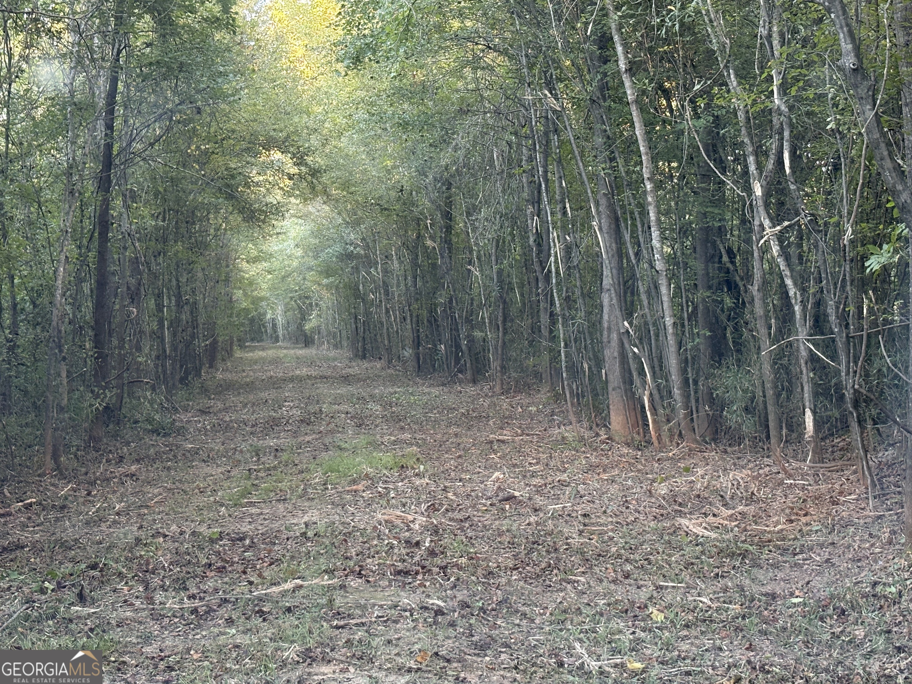 0 Sandy Creek Road Irwinton GA 31042