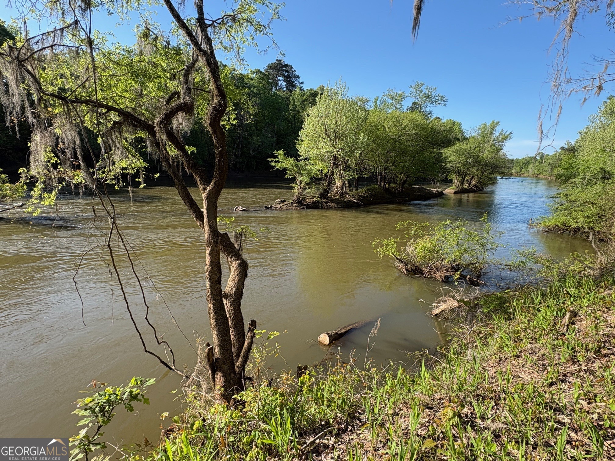 0 Sandy Creek Road Irwinton GA 31042