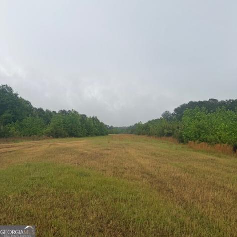 145 +/- ACRES George Smith Road Talbotton GA 31827