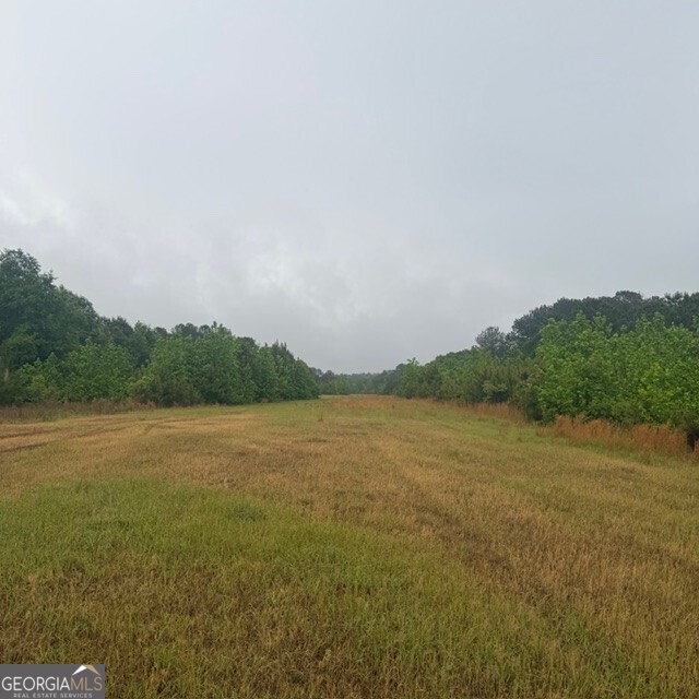 145 +/- Acres George Smith Road Talbotton GA 31827