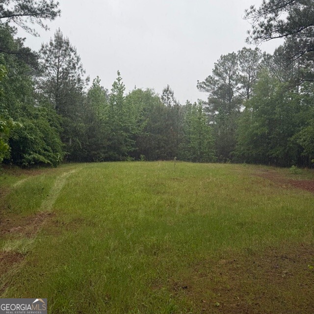 145 +/- Acres George Smith Road Talbotton GA 31827