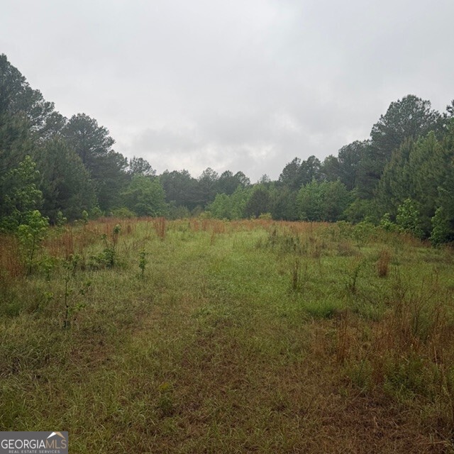 145 +/- Acres George Smith Road Talbotton GA 31827