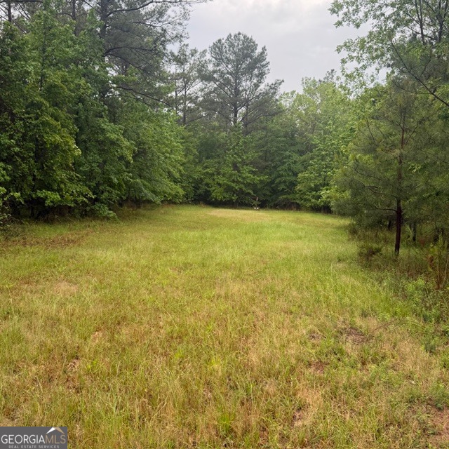 145 +/- Acres George Smith Road Talbotton GA 31827
