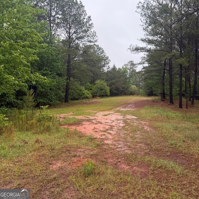 145 +/- Acres George Smith Road Talbotton GA 31827