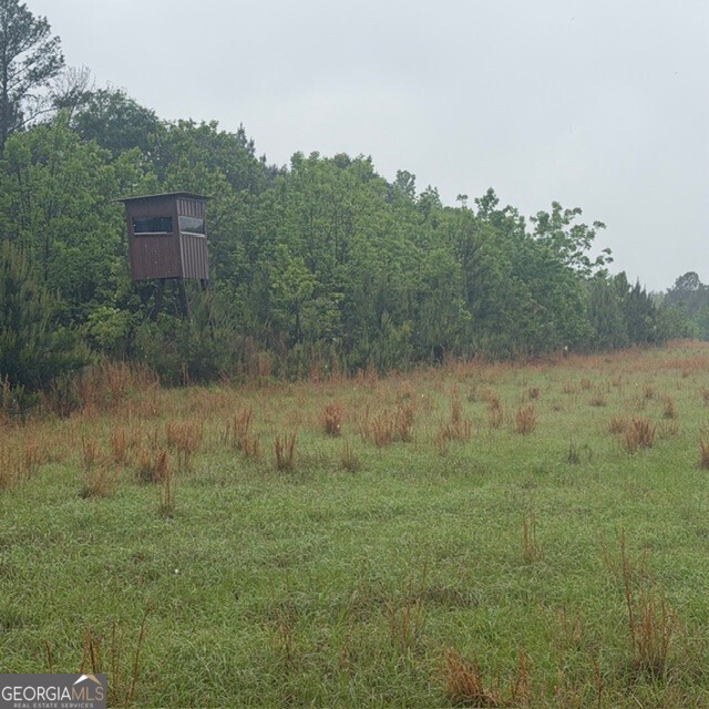 145 +/- Acres George Smith Road Talbotton GA 31827