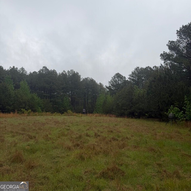 145 +/- Acres George Smith Road Talbotton GA 31827