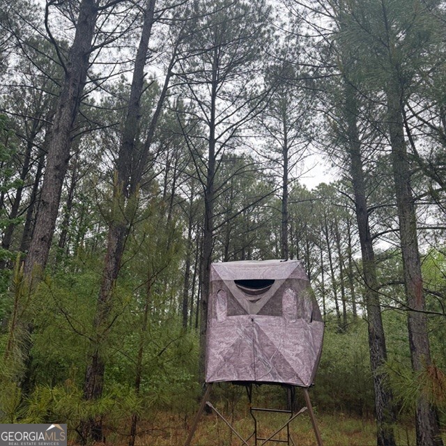 145 +/- Acres George Smith Road Talbotton GA 31827