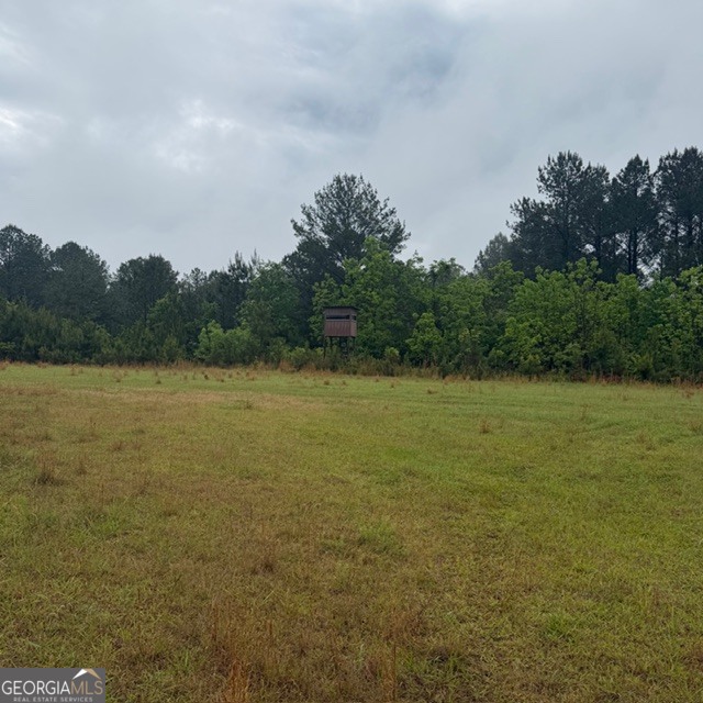 145 +/- Acres George Smith Road Talbotton GA 31827