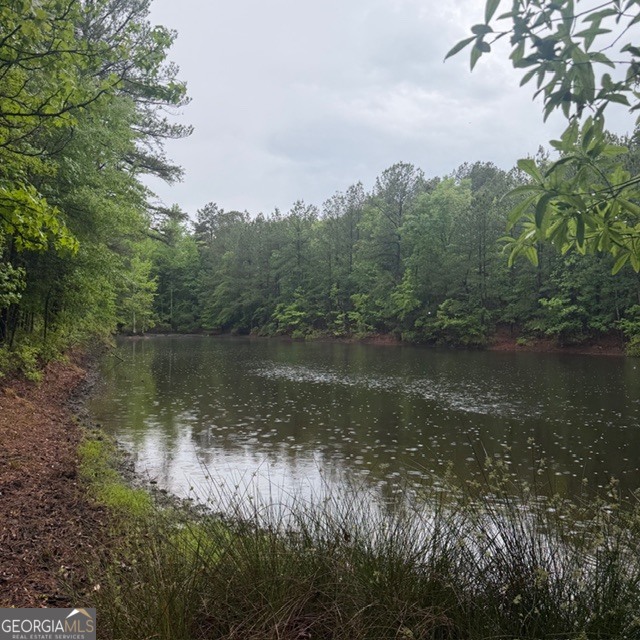 145 +/- Acres George Smith Road Talbotton GA 31827