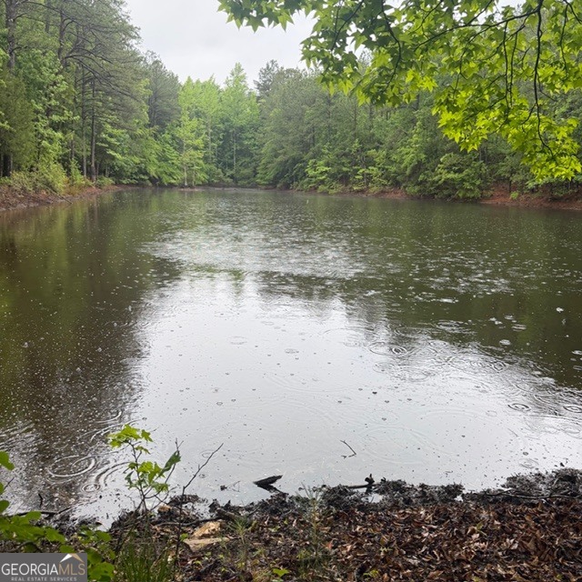 145 +/- Acres George Smith Road Talbotton GA 31827