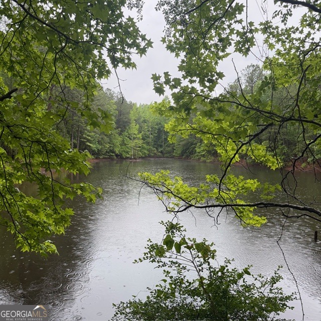 145 +/- Acres George Smith Road Talbotton GA 31827