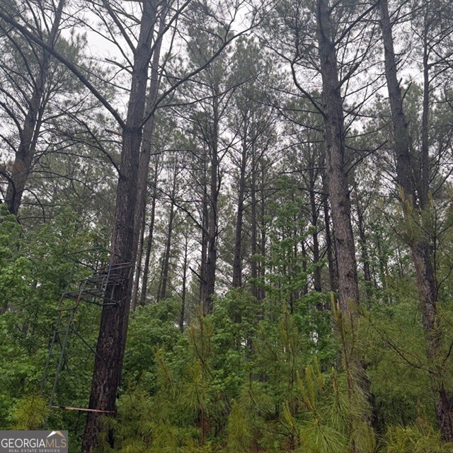 145 +/- Acres George Smith Road Talbotton GA 31827