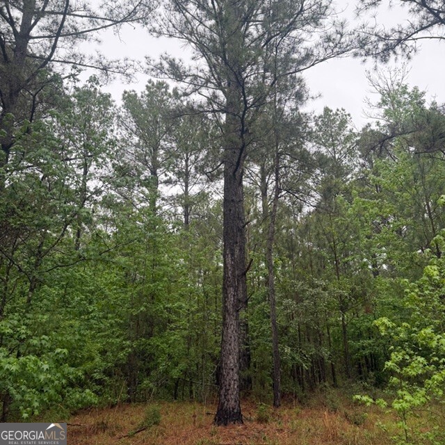 145 +/- Acres George Smith Road Talbotton GA 31827