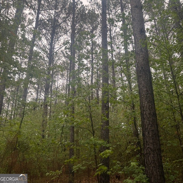 145 +/- Acres George Smith Road Talbotton GA 31827