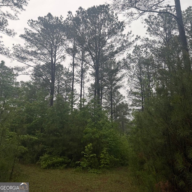 145 +/- Acres George Smith Road Talbotton GA 31827