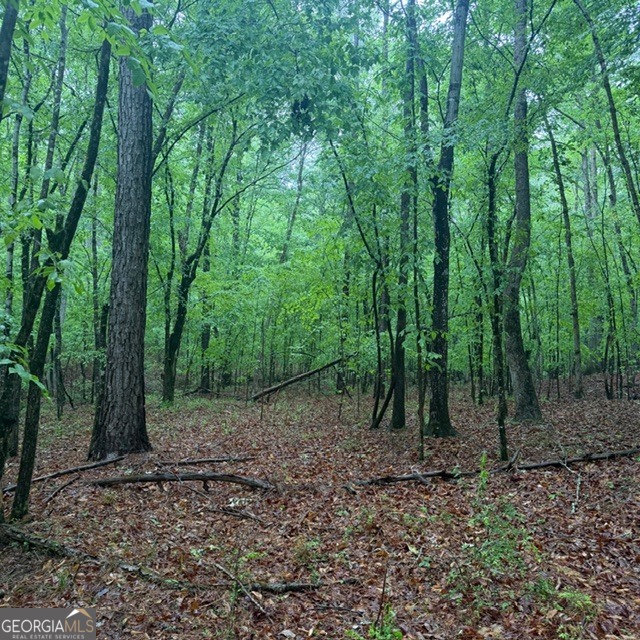 145 +/- Acres George Smith Road Talbotton GA 31827