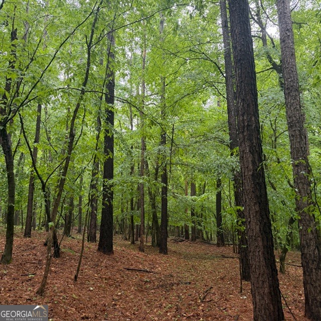 145 +/- Acres George Smith Road Talbotton GA 31827