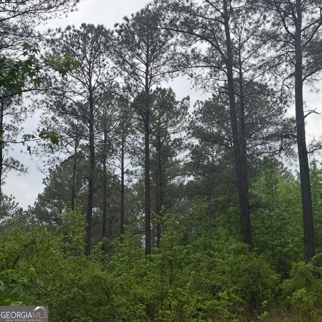 145 +/- Acres George Smith Road Talbotton GA 31827
