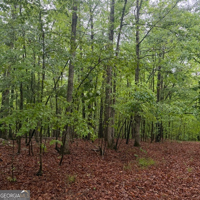 145 +/- Acres George Smith Road Talbotton GA 31827