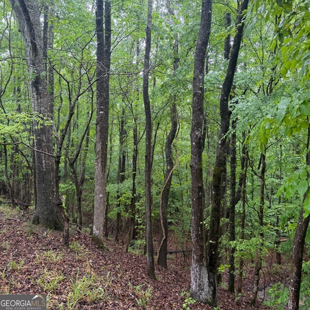 145 +/- Acres George Smith Road Talbotton GA 31827