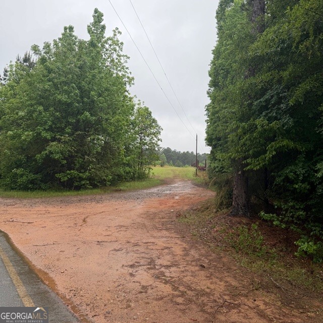 145 +/- Acres George Smith Road Talbotton GA 31827
