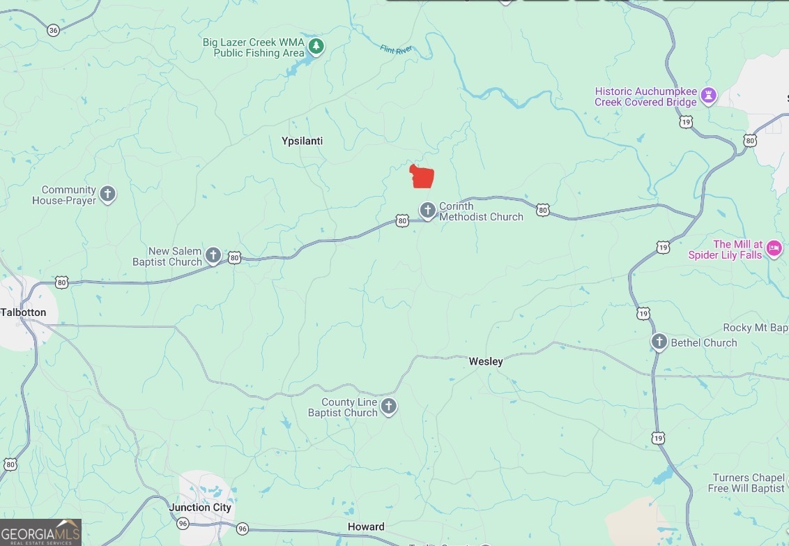 145 +/- Acres George Smith Road Talbotton GA 31827