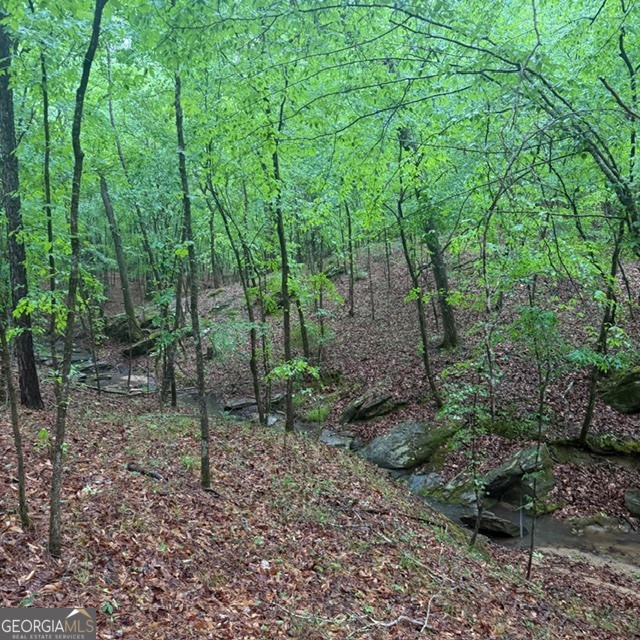 145 +/- Acres George Smith Road Talbotton GA 31827