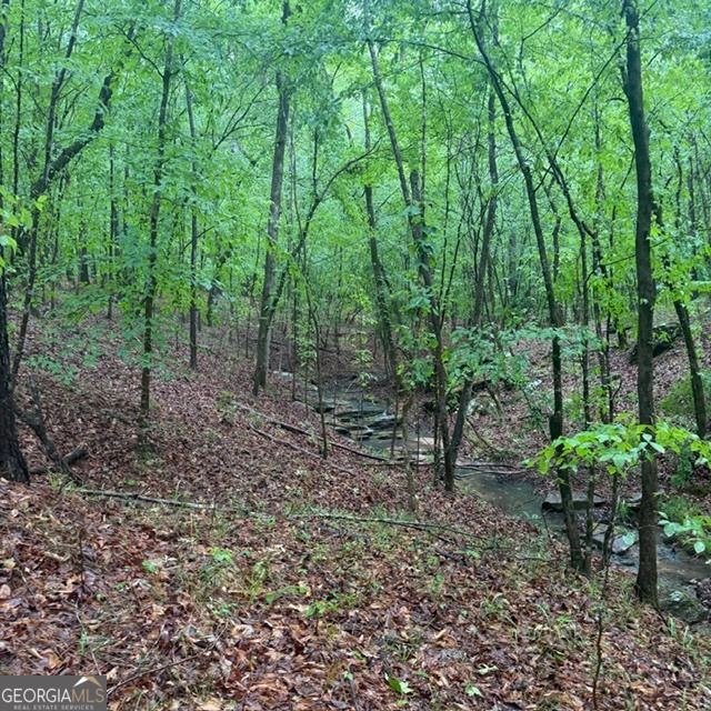 145 +/- Acres George Smith Road Talbotton GA 31827