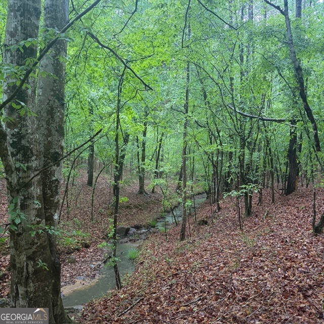 145 +/- Acres George Smith Road Talbotton GA 31827