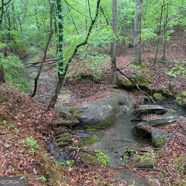 145 +/- Acres George Smith Road Talbotton GA 31827