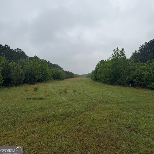 145 +/- Acres George Smith Road Talbotton GA 31827