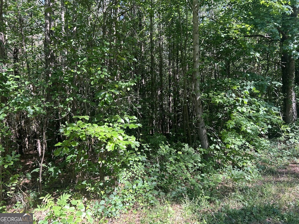 1A Clower Drive Bowdon GA 30108