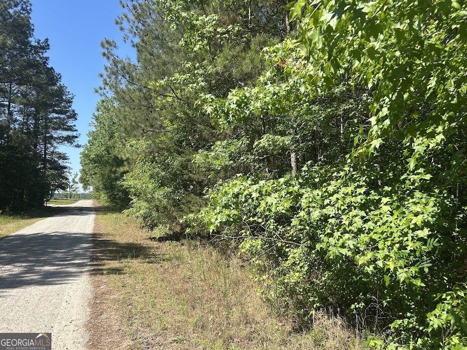 1A Clower Drive Bowdon GA 30108