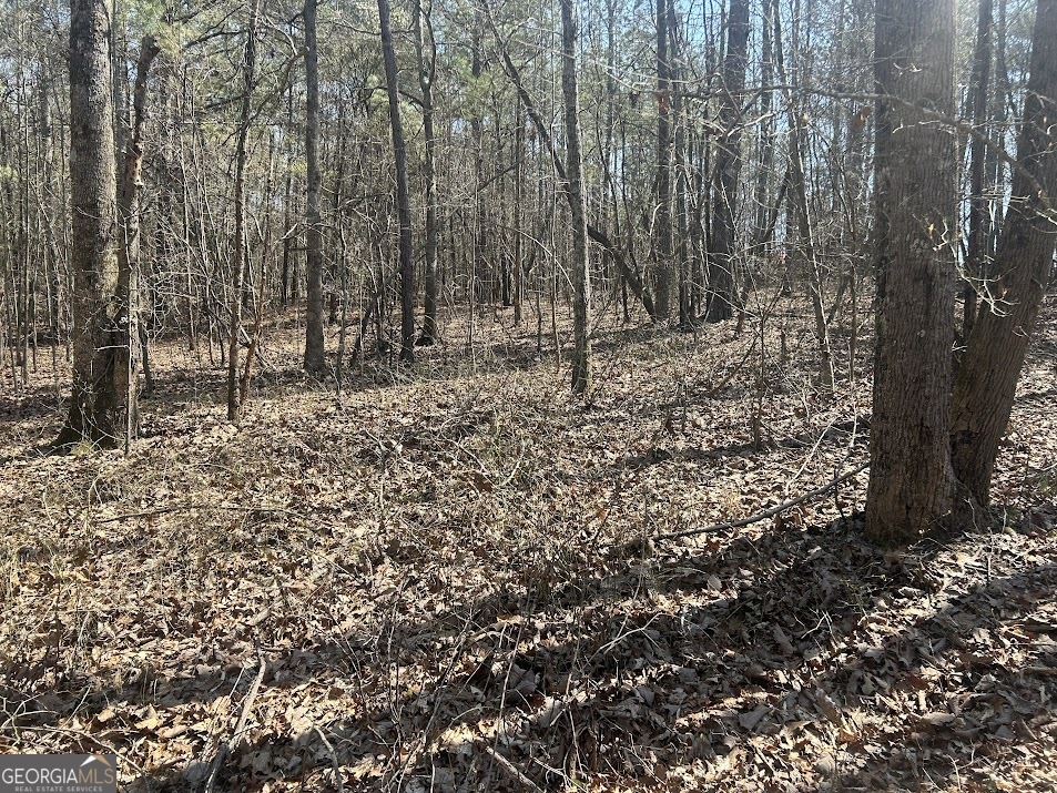 1A Clower Drive Bowdon GA 30108