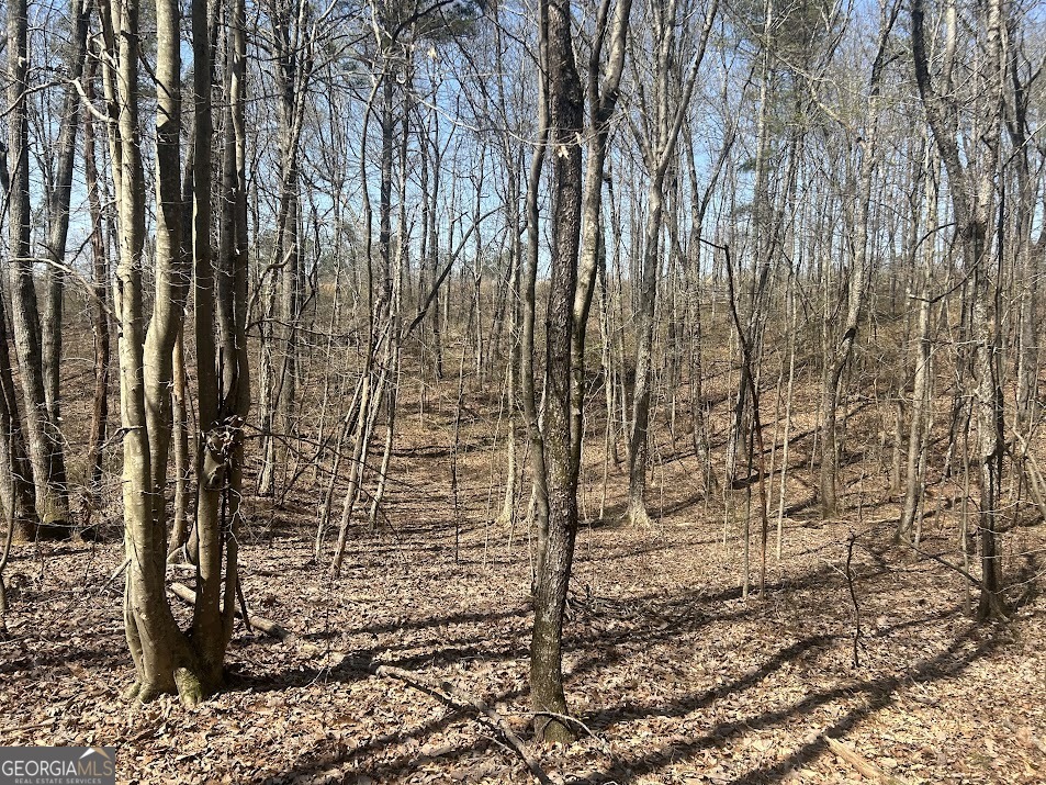 1A Clower Drive Bowdon GA 30108