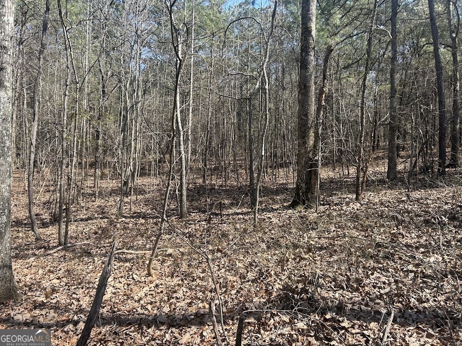 1A Clower Drive Bowdon GA 30108