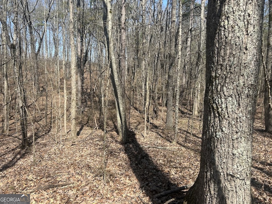 1A Clower Drive Bowdon GA 30108