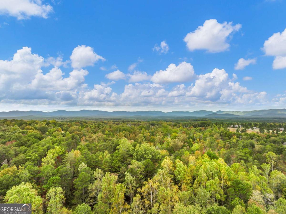 6418 Dawsonville Highway Dahlonega GA 30533