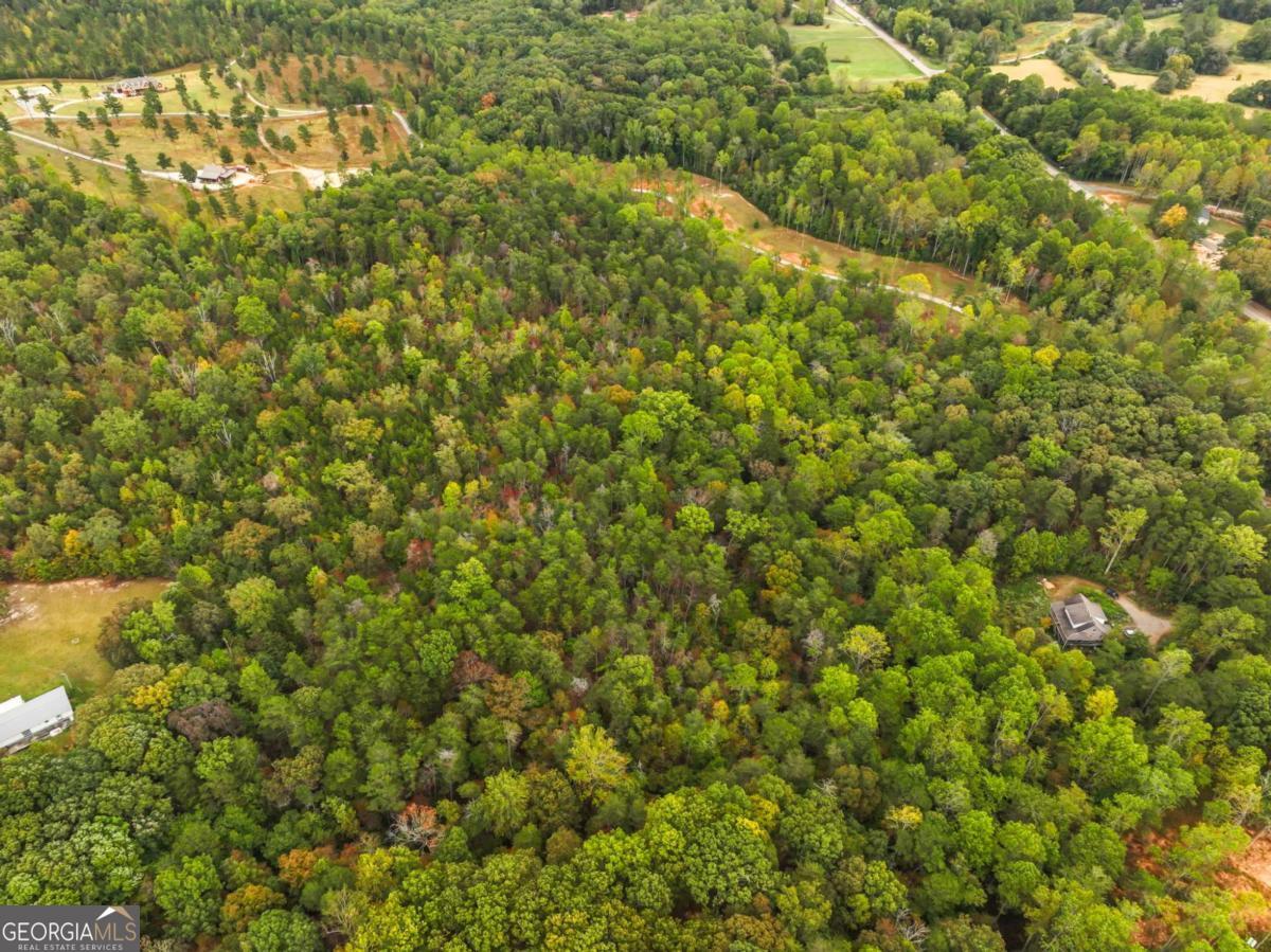 6418 Dawsonville Highway Dahlonega GA 30533