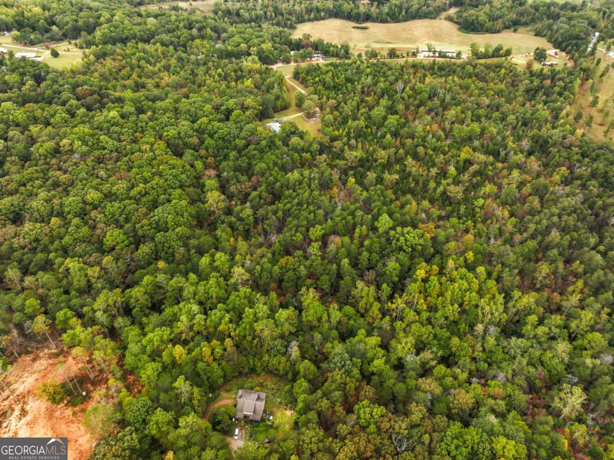 6418 Dawsonville Highway Dahlonega GA 30533