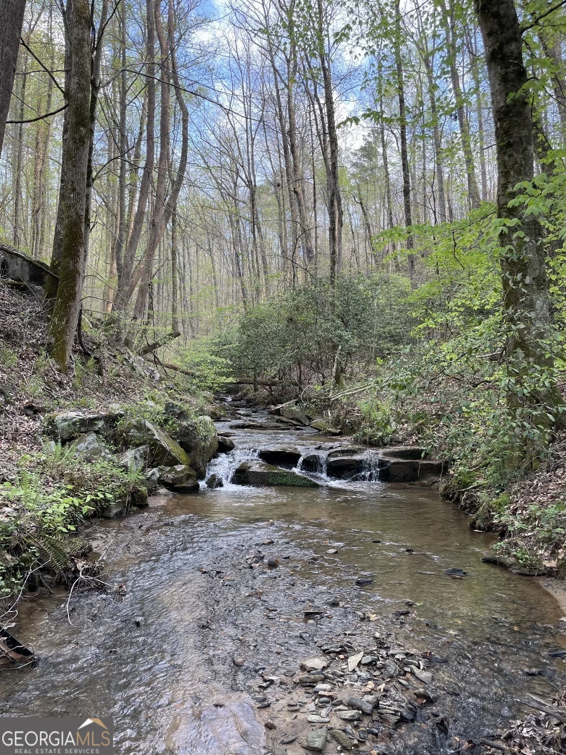 0 Shady Grove Road Talking Rock GA 30175