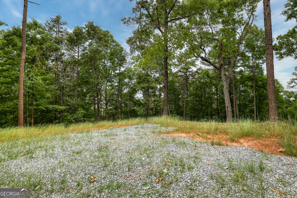 0 Shady Grove Road Talking Rock GA 30175