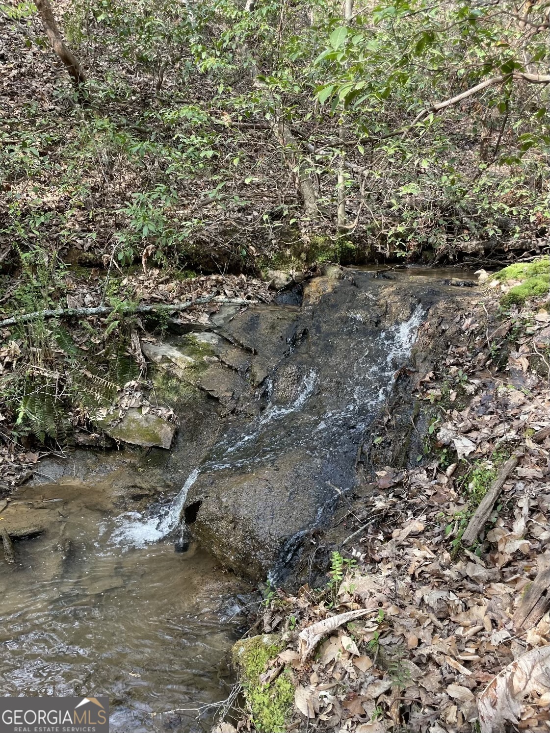 0 Shady Grove Road Talking Rock GA 30175