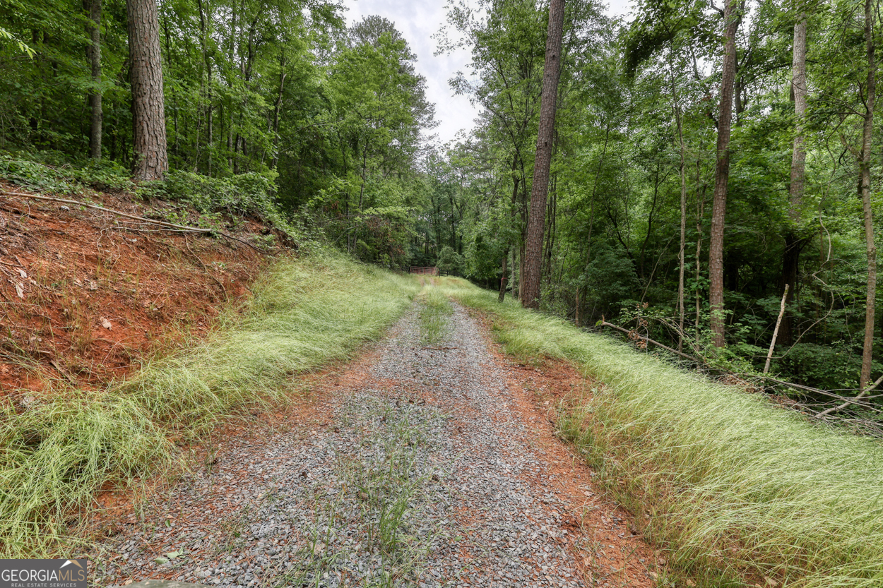 0 Shady Grove Road Talking Rock GA 30175