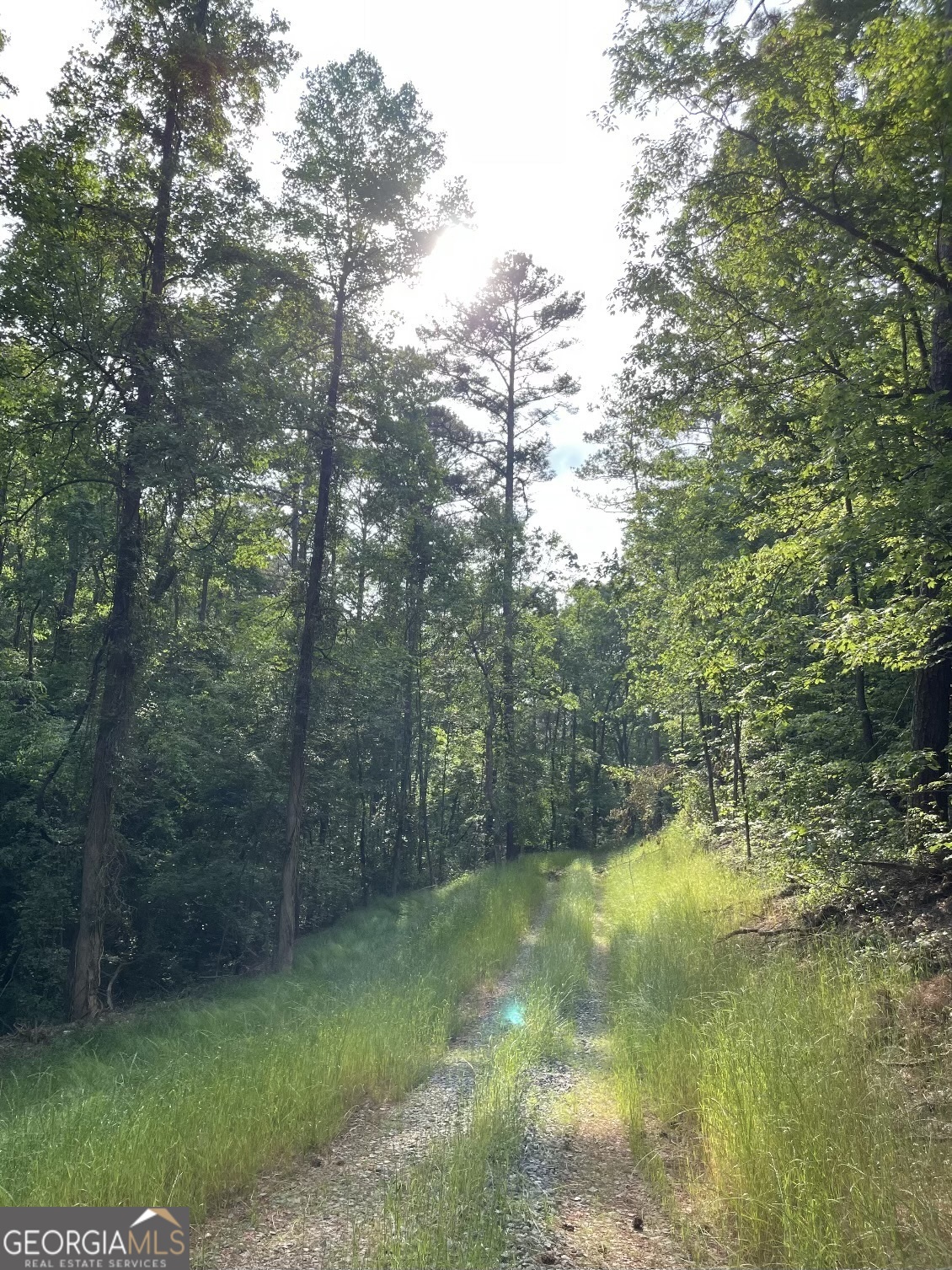 0 Shady Grove Road Talking Rock GA 30175