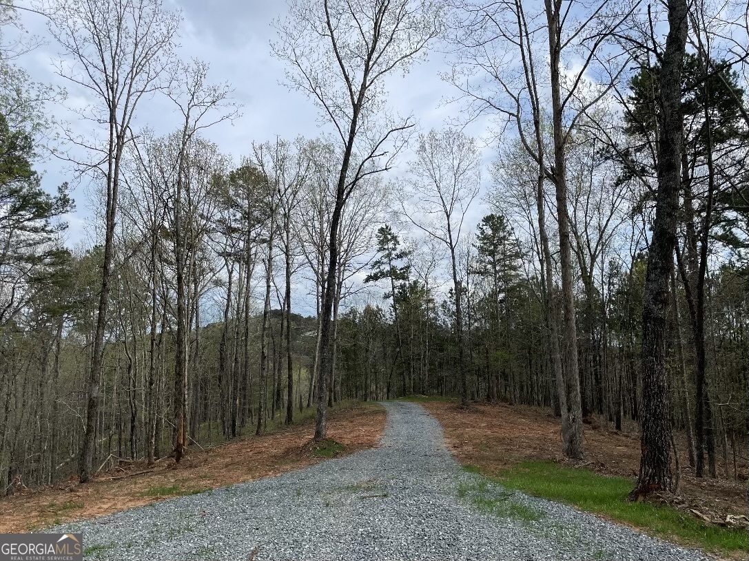 0 Shady Grove Road Talking Rock GA 30175