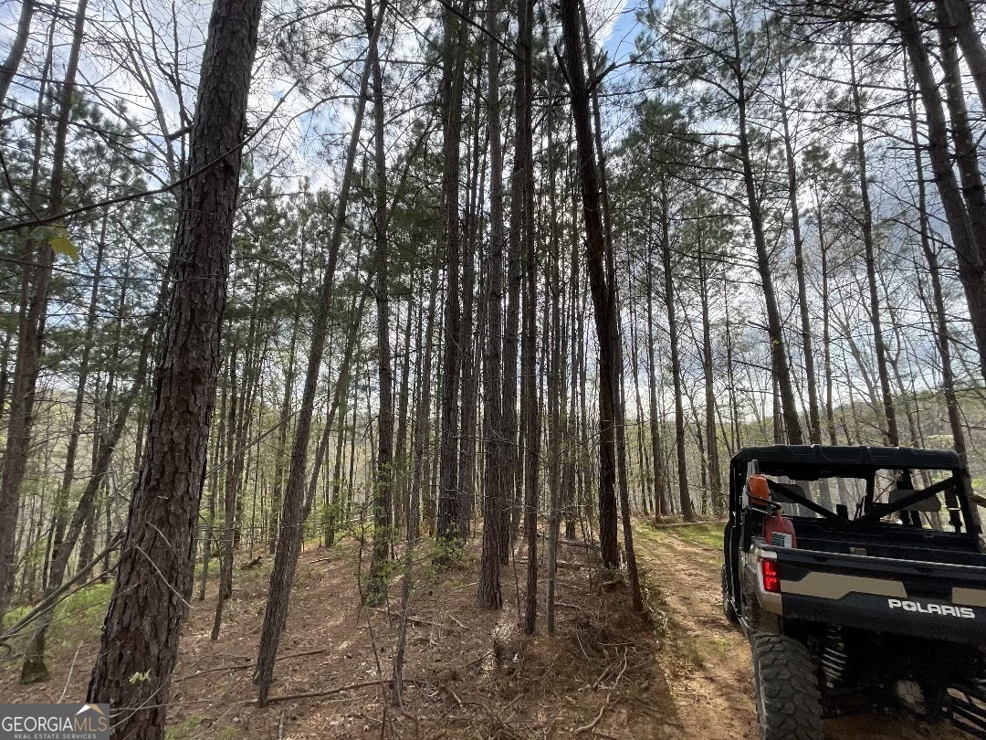 0 Shady Grove Road Talking Rock GA 30175