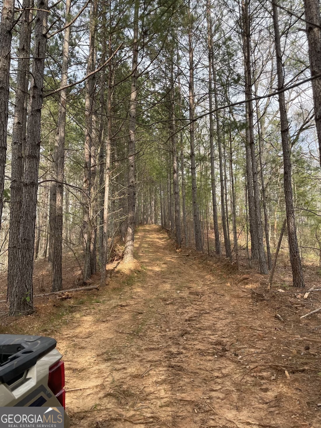 0 Shady Grove Road Talking Rock GA 30175