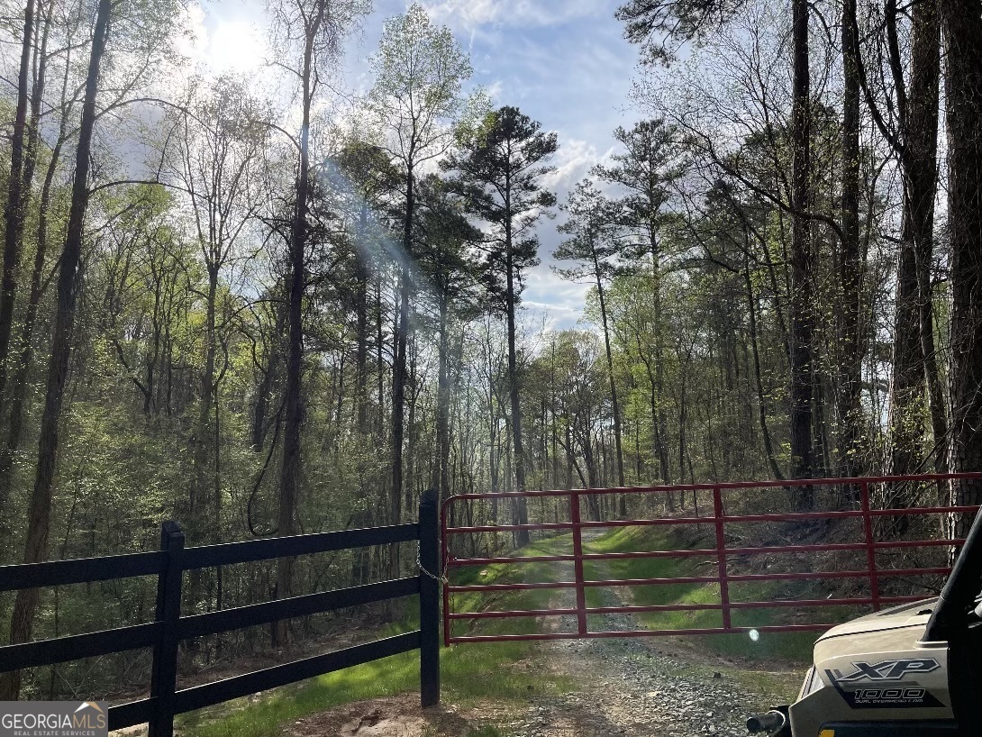 0 Shady Grove Road Talking Rock GA 30175
