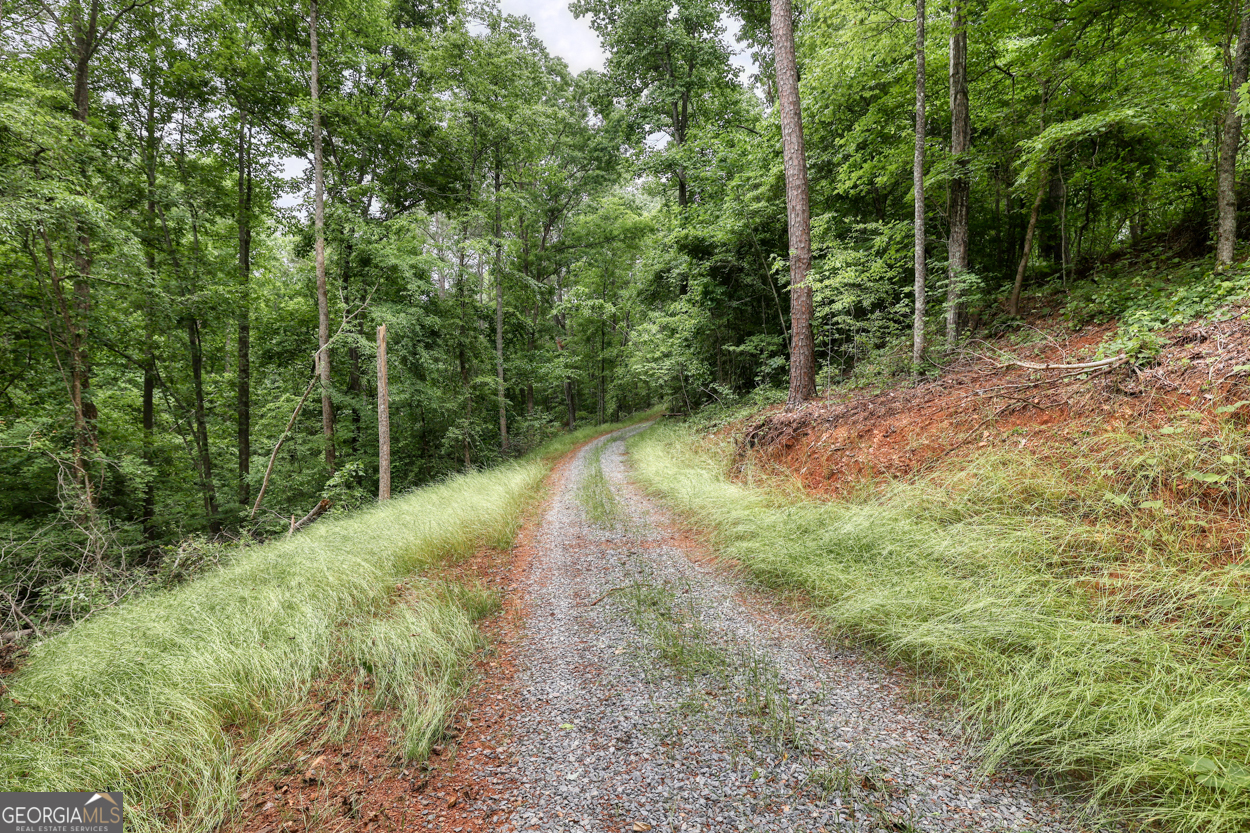 0 Shady Grove Road Talking Rock GA 30175
